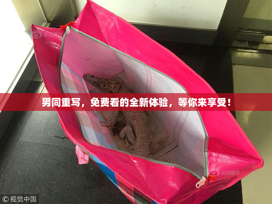 男同重写，免费看的全新体验，等你来享受！