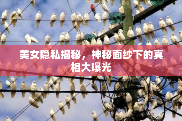 美女隐私揭秘，神秘面纱下的真相大曝光