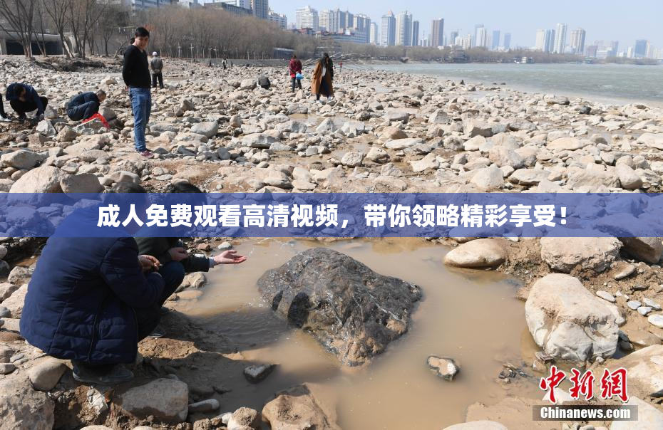 成人免费观看高清视频，带你领略精彩享受！