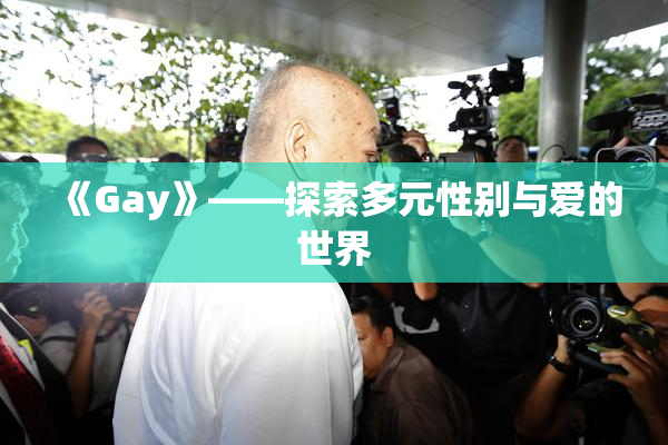 《Gay》——探索多元性别与爱的世界