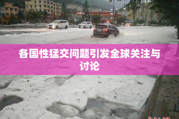 各国性猛交问题引发全球关注与讨论