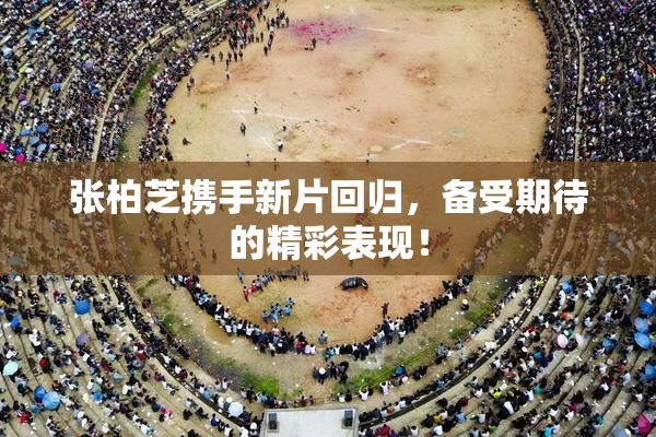 张柏芝携手新片回归，备受期待的精彩表现！