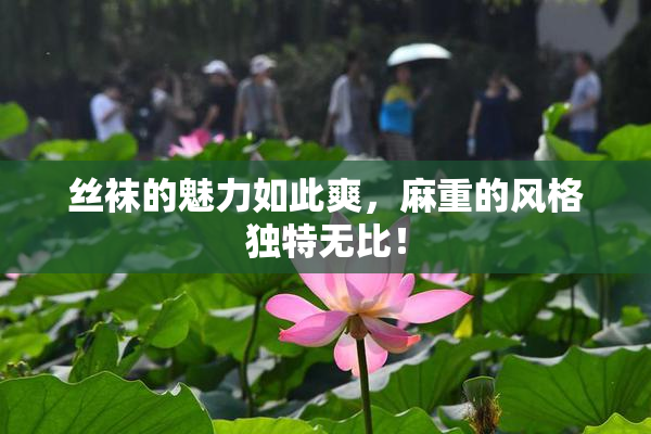 丝袜的魅力如此爽，麻重的风格独特无比！