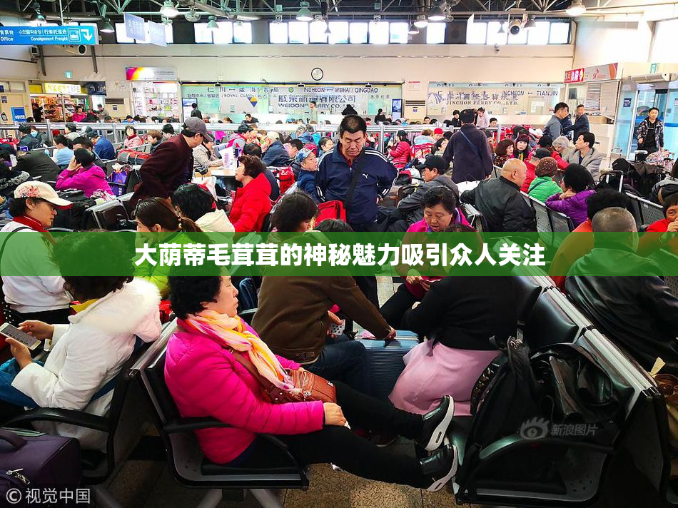 大荫蒂毛茸茸的神秘魅力吸引众人关注