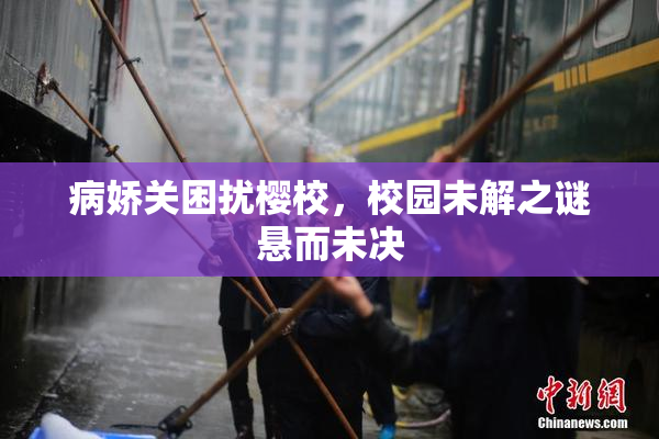 病娇关困扰樱校，校园未解之谜悬而未决