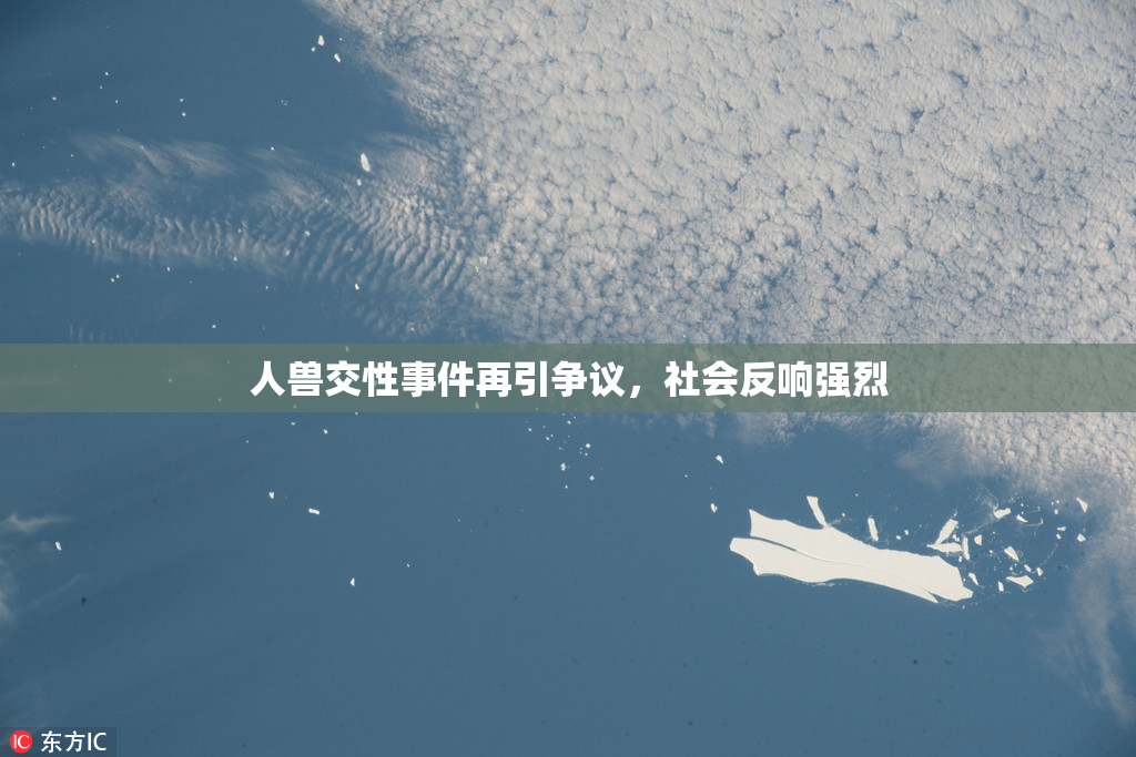 人兽交性事件再引争议，社会反响强烈