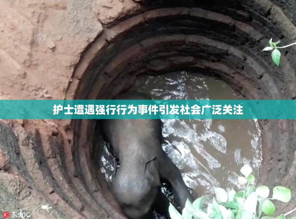 护士遭遇强行行为事件引发社会广泛关注
