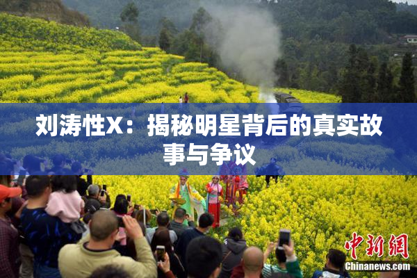 刘涛性X：揭秘明星背后的真实故事与争议