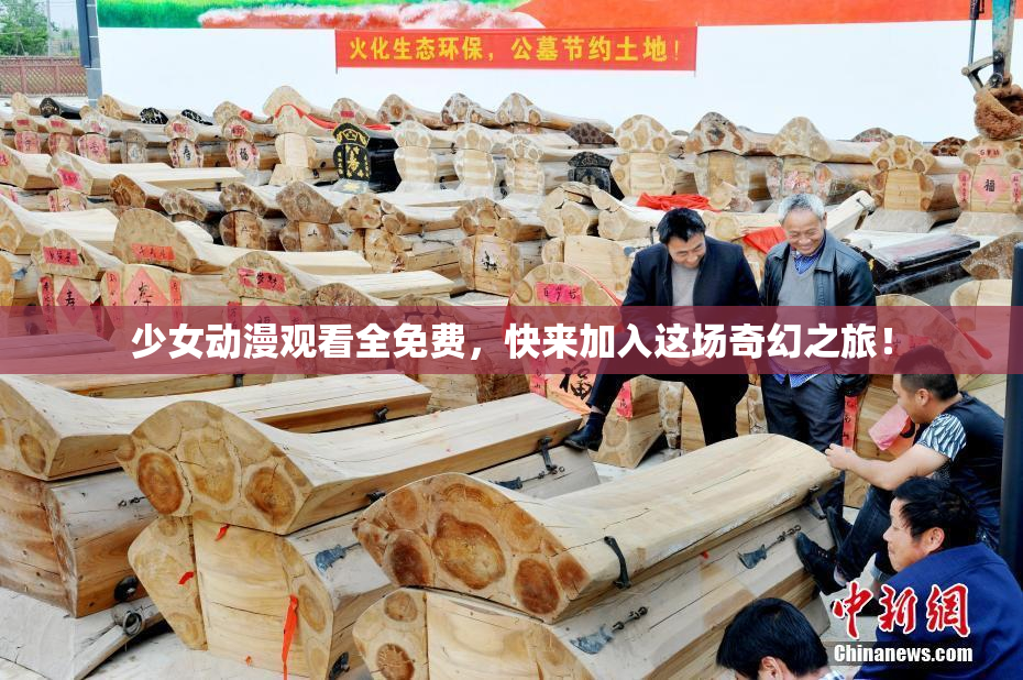 少女动漫观看全免费，快来加入这场奇幻之旅！