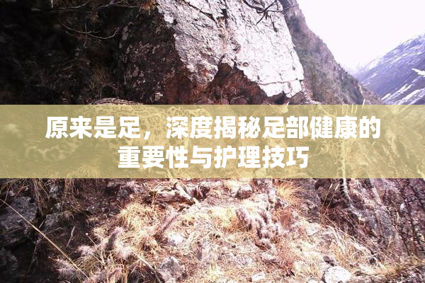 原来是足，深度揭秘足部健康的重要性与护理技巧