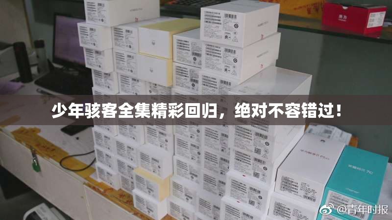 少年骇客全集精彩回归，绝对不容错过！