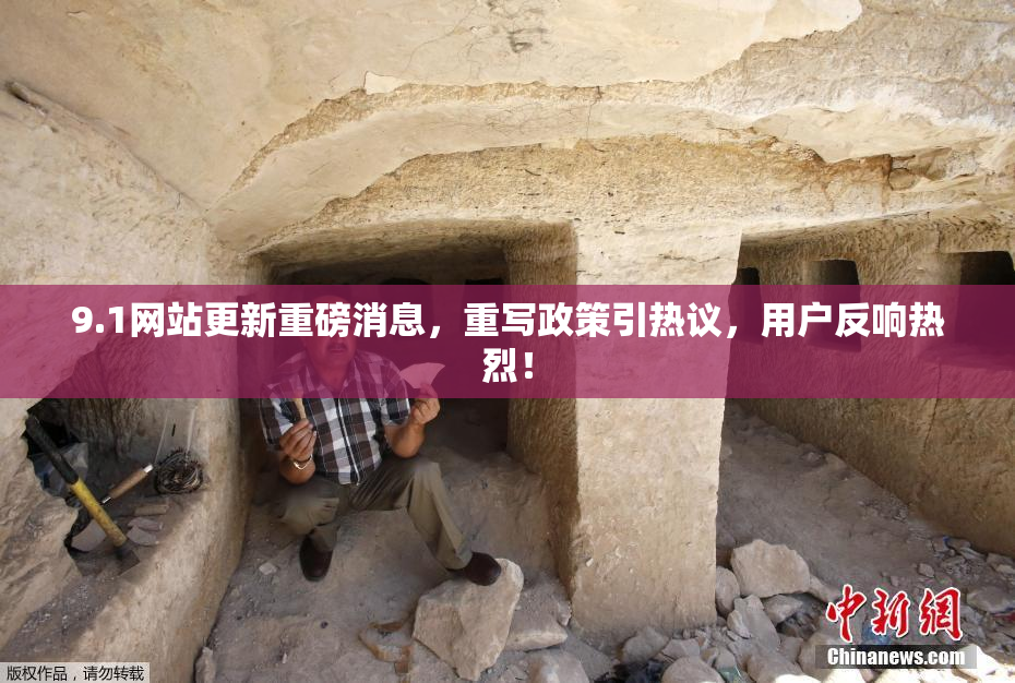 9.1网站更新重磅消息，重写政策引热议，用户反响热烈！