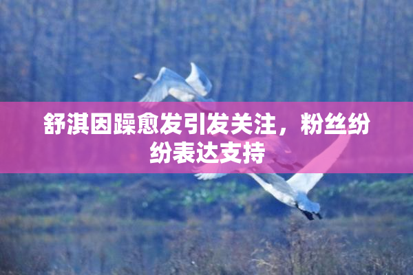 舒淇因躁愈发引发关注，粉丝纷纷表达支持