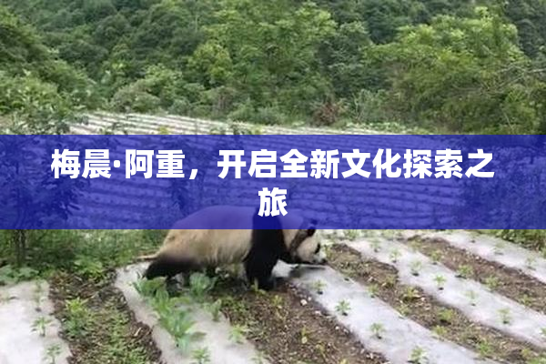 梅晨·阿重，开启全新文化探索之旅