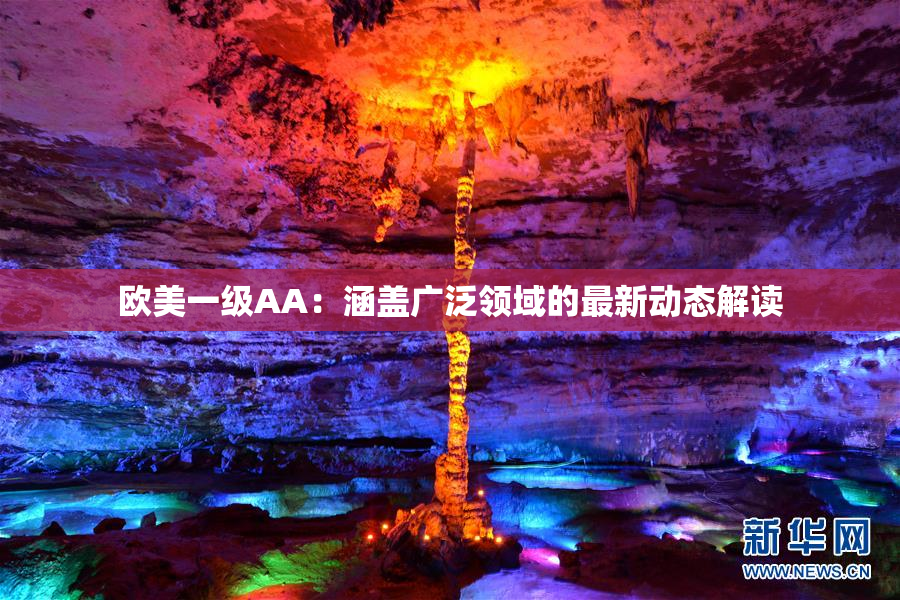 欧美一级AA：涵盖广泛领域的最新动态解读