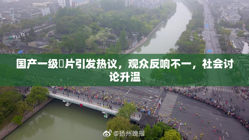 国产一级婬片引发热议，观众反响不一，社会讨论升温