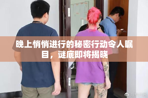 晚上悄悄进行的秘密行动令人瞩目，谜底即将揭晓