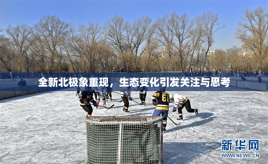 全新北极象重现，生态变化引发关注与思考