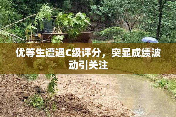 优等生遭遇C级评分，突显成绩波动引关注