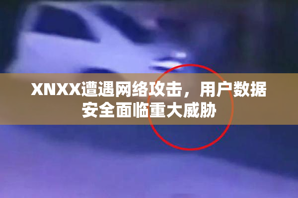 XNXX遭遇网络攻击，用户数据安全面临重大威胁