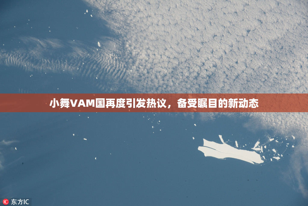 小舞VAM国再度引发热议，备受瞩目的新动态