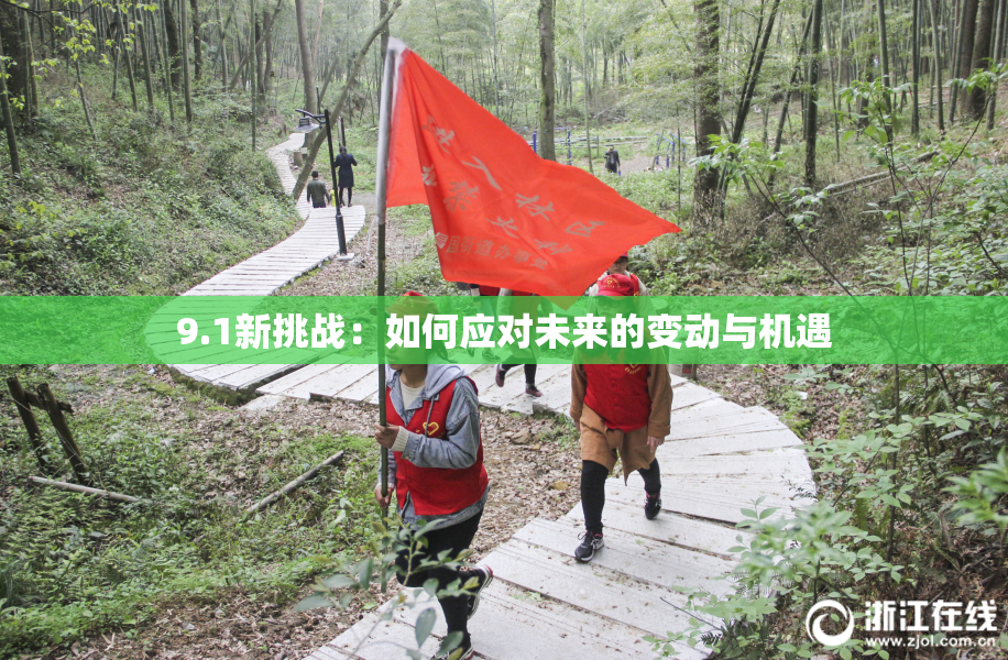 9.1新挑战：如何应对未来的变动与机遇
