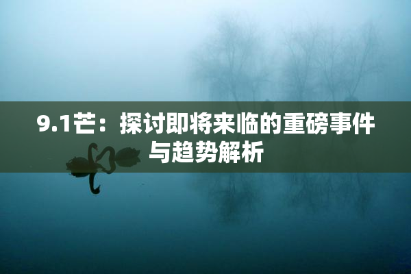9.1芒：探讨即将来临的重磅事件与趋势解析