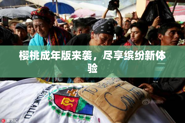 樱桃成年版来袭，尽享缤纷新体验