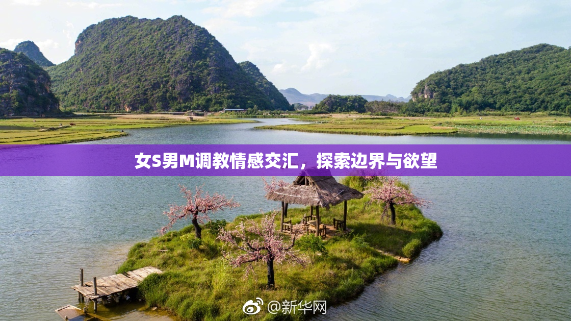 女S男M调教情感交汇，探索边界与欲望