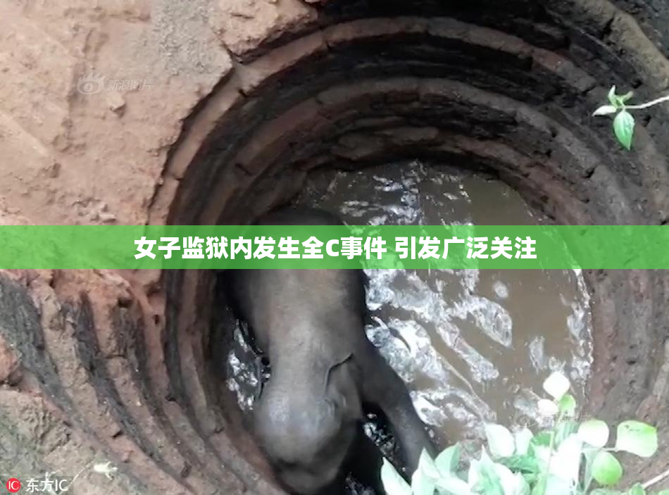 女子监狱内发生全C事件 引发广泛关注