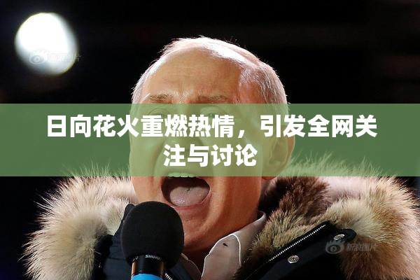 日向花火重燃热情，引发全网关注与讨论
