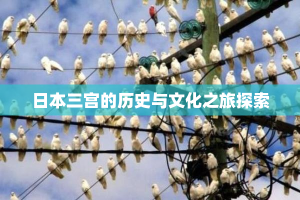 日本三宫的历史与文化之旅探索