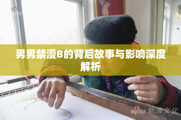 男男禁漫B的背后故事与影响深度解析
