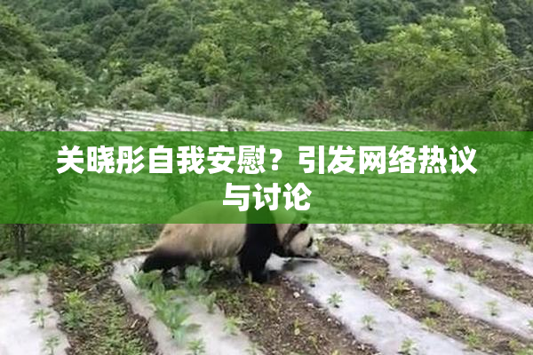 关晓彤自我安慰？引发网络热议与讨论