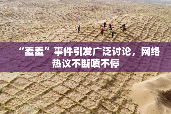 “羞羞”事件引发广泛讨论，网络热议不断喷不停