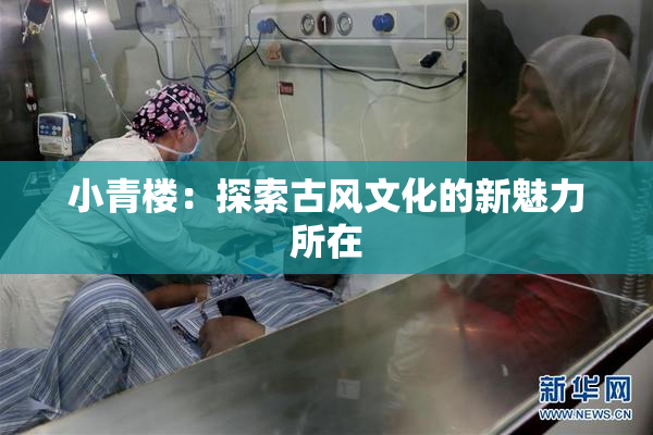小青楼：探索古风文化的新魅力所在