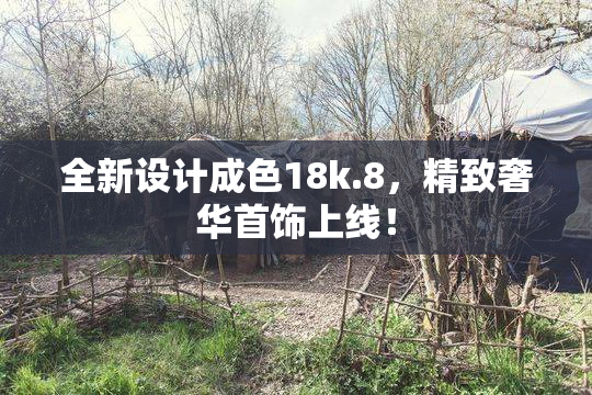 全新设计成色18k.8，精致奢华首饰上线！
