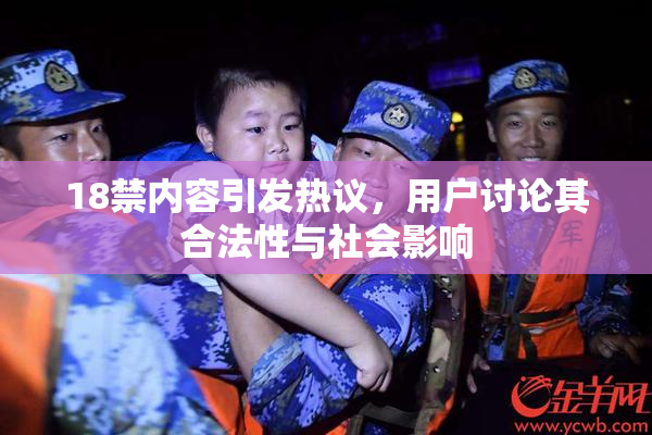 18禁内容引发热议，用户讨论其合法性与社会影响