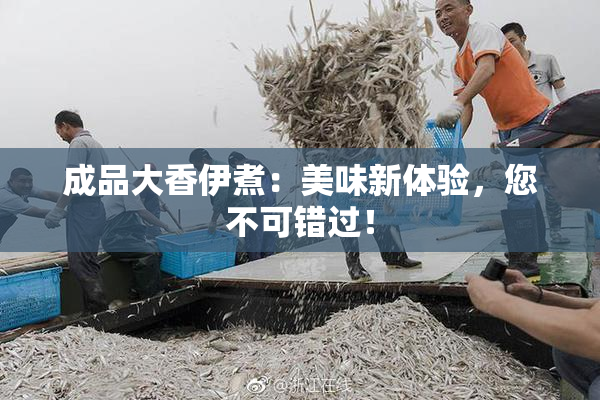 成品大香伊煮：美味新体验，您不可错过！