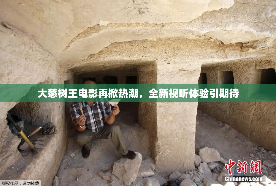 大慈树王电影再掀热潮，全新视听体验引期待