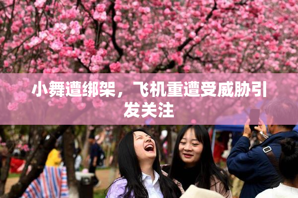 小舞遭绑架，飞机重遭受威胁引发关注