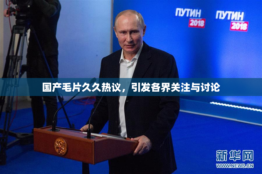 国产毛片久久热议，引发各界关注与讨论