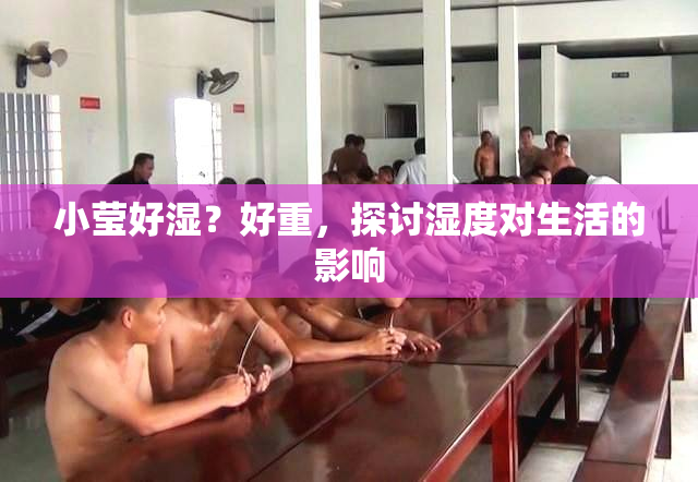 小莹好湿？好重，探讨湿度对生活的影响