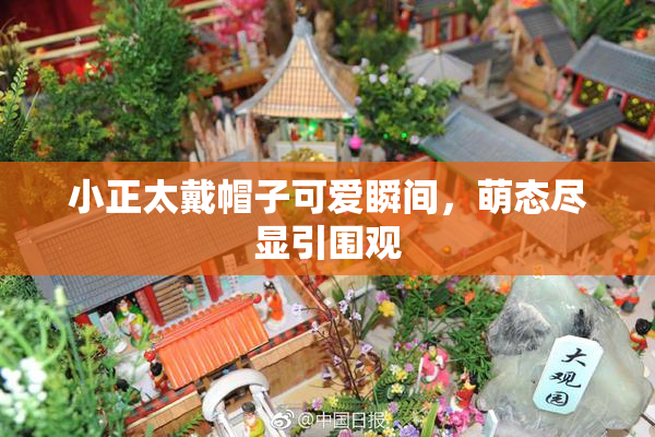 小正太戴帽子可爱瞬间，萌态尽显引围观