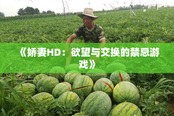 《娇妻HD：欲望与交换的禁忌游戏》