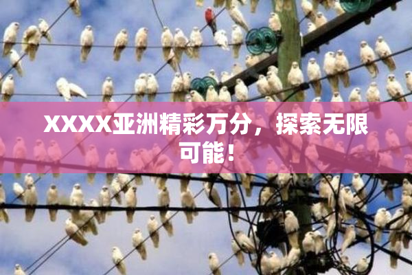 XXXX亚洲精彩万分，探索无限可能！