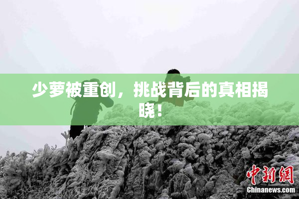 少萝被重创，挑战背后的真相揭晓！