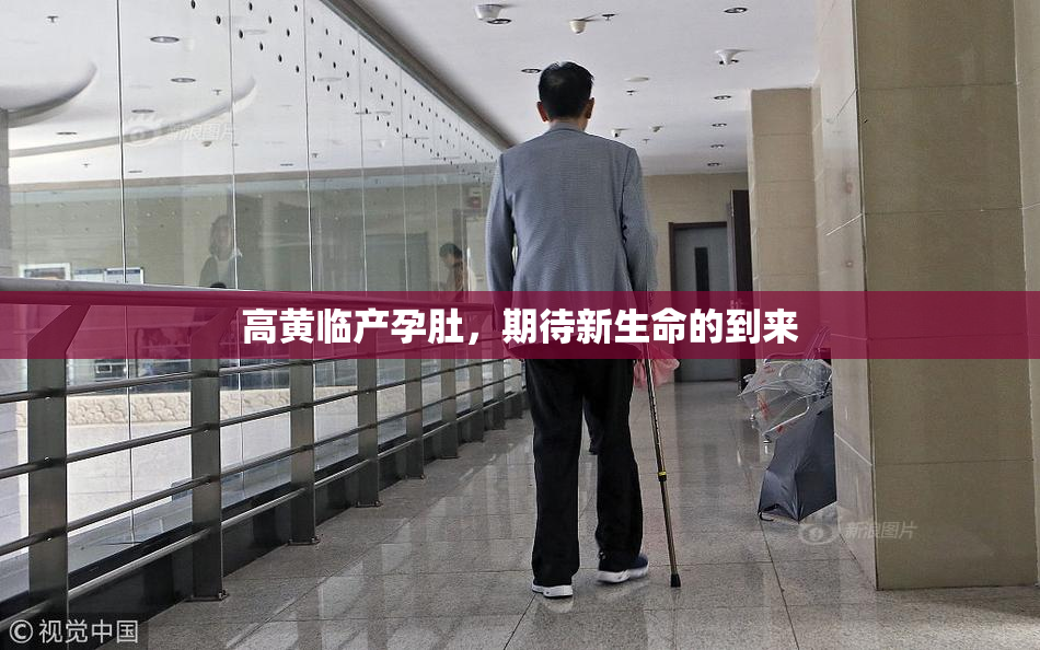 高黄临产孕肚，期待新生命的到来