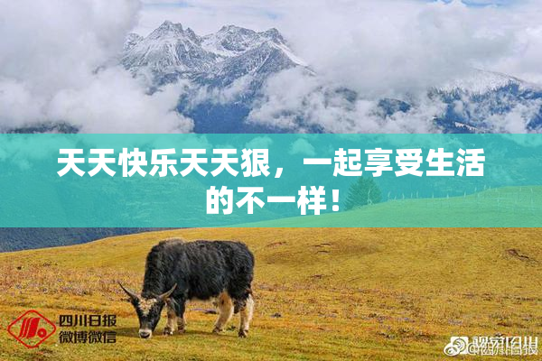 天天快乐天天狠，一起享受生活的不一样！