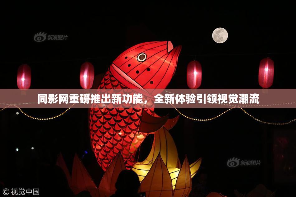 同影网重磅推出新功能，全新体验引领视觉潮流